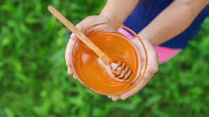 Wie machen die bienen honig 🍯? Wie Sie Kristallisierten Honig Wieder Flussig Machen