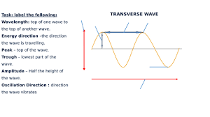 We can help your students understand this topic much better with the help of our free lessons and worksheets. Transverse Longitudinal Wave Diagram Label Worksheets Differentiated Teaching Resources