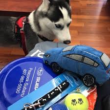 We have 29 subaru forester vehicles for sale that are reported accident description: Sport Subaru South 28 Photos 45 Reviews Auto Repair 9951 S Orange Blossom Trl South Orange Blossom Trail Obt Orlando Fl Phone Number