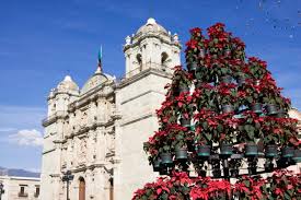 For dinner americans usually have meat, fried or baked potatoes with ketchup or sour cream, corn, peas, sometimes macaroni and cheese or spaghetti; Christmas Eve In Mexico