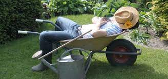 This is article about 40 einzigartig hilfe im garten gesucht luxus rating: Helfer Fur Gartenarbeiten Gesucht Studenten Vermittlung Com