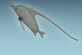 Manfish 3D Model $44 - .unknown .fbx .ma .obj - Free3D