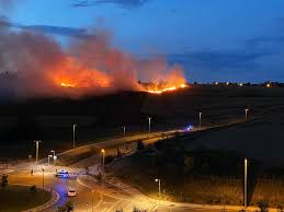 Aviso amarillo por incendios y temperaturas altas este domingo en la cav. Incendio En Pamplona De Un Campo De Cereal En Mendillorri Noticias De Pamplona Y Comarca En Diario De Navarra