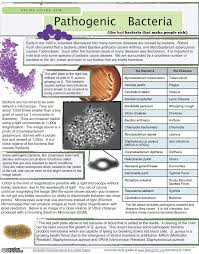 Pin On Biology Study Guides