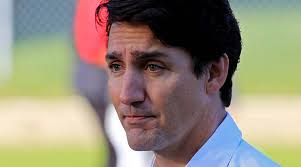 We offer hair cuts and color services, perms, treatments, highlights, wax, etc. Farmer Protests India Summons Envoy Trudeau Reiterates Stand On Peaceful Protests India News The Indian Express