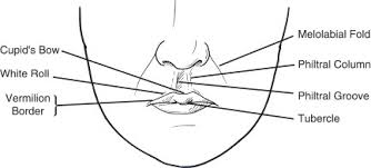 Lip Reconstruction Facial Plastic Surgery Clinics
