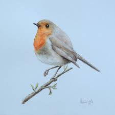 Aquarelle Aquarell Rotkehlchen Designer Acuarela Dibujo Zeichnung Schmincke In 2020 Aquarell Blumen Aquarell Vogel Zeichnen