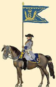 Free shipping on orders over $25 shipped by amazon. Danemark Dragoner Reg Walter 1676 Swedish Flag Swedish Army History