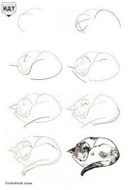 Katze Zeichnen Schritt Fur Schritt Dessin Chat Dessin D Animal Comment Dessiner Un Chat