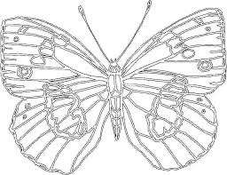 Butterfly Big Coloring Pages For Kids Printable Butterfly Coloring Page Coloring Pages Kids Coloring Books