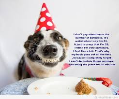 Happy Dog Quotes. QuotesGram via Relatably.com