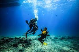 There are some important factors to consider when choosing where to get your certification. Hawaii Certified Scuba Divers Padi Scuba Certification Big Kahuna Water Sports 808 542 9494
