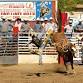 PRCA Xtreme Bulls