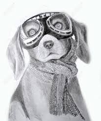The pencil drawing does not have to be perfect. Portrait Of A Dog With A Simple Pencil Academic Drawing Of An Stock Photo Picture And Royalty Free Image Image 131525528