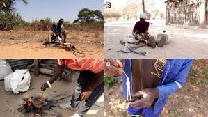 Image result for Tapinanthus dependens