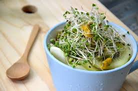 Broccoli sprouts are a rich source of sulforaphane, a substance that helps fight cancer, inflammation and a lot of other problems. How Much Broccoli Sprouts Should You Eat Houseplant Girl