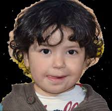 2010-2011 School Year