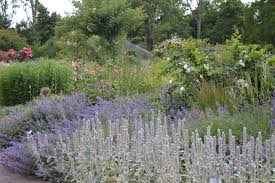 Botanischer Garten Dusseldorf