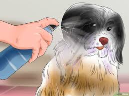 Certain breeds are more prone to matting hair, especially if their hair is very soft and downy. How To Brush Mats Out Of Dog Hair 14 Steps With Pictures Matted Dog Hair Dog Hair Dog Brushing