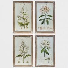 5 out of 5 stars. Botanical Framed Print Set Of 4 Framed Botanical Prints Botanical Prints Framed Botanicals