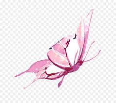 Download Watercolor Flower Background Yellowimages Mockups