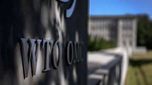 Wto These Are The 8 Candidates To Become The New Director General
