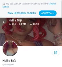 OnlyFans – Ebony – _thatjanelle  thebeeee – Nude - Photo 1