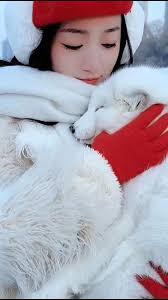 Surprises abound in Harbin, Heilongjiang every day: Near the Songhua River,  an irresistibly cuddly white fox seeks affection from passersby, snuggling  up as if seeking attention. ...