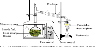 Storing universal extractor in a directory without write access (e.g. Pdf Extraction Of An Essential Oil From Fresh Cananga Flowers Cananga Odorata Using Solvent Free Microwave Method Semantic Scholar