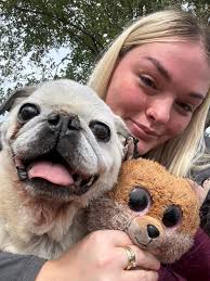 I lost my best friend yesterday. We had a great life together . Natalee,  momma misses you so much. Run free my baby, you aren't sick anymore.  Natalee 12-5-2010