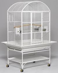 Bird Cage Seed Guard Acrylic Uk Avian Adventures Mediana Dome Top Bird Cage Bird Cage Cage Bird Aviary