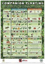 companion planting chart find your crop in the left column