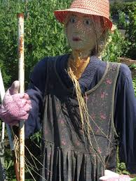 Maybe you would like to learn more about one of these? Scarecrow Garden Gardening Day Real People Plant One Person Nature Representation Human Representation Pxfuel