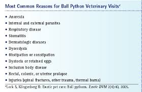Ball Python Care Vetfolio