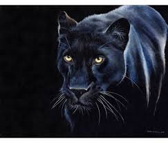 Sale I M Offering My Black Panther Oil Painting Size 16x20 At A Discounted Price For A Quick Sale I Ve Reduced The Big Cats Art Jaguar Animal Black Panther
