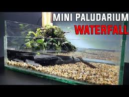 How To Build Mini Paludarium Waterfall Setup Complete Youtube In 2020 Waterfall Aquarium Design Reptile Enclosure