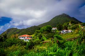 Image result for Saba