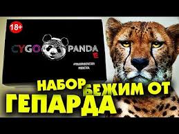 песня мы бежим с тобой как будто от гепарда текст Nabor Cygo Panda My Bezhim Ot Geparda Youtube