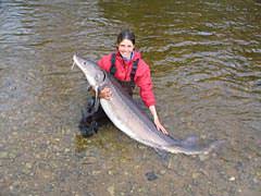 Sturgeon General ~ Winter 2006