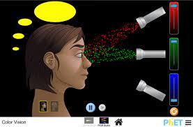 Pin On Sensation And Perception