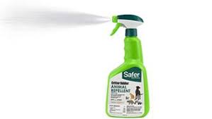 Critter ridder in austin provides humane animal removal services to keep you and your home safe from disease and damage. Our Product Family Critter Ridder Repellents Havahart