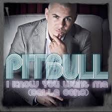 Pitbull (featuring tjr) don't stop the party (2013). I Know You Want Me Calle Ocho Wikipedia