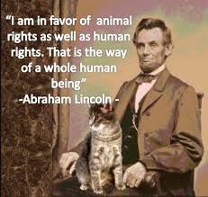 Best Quotes For Animal Lovers Animal Quotes Animal Lover Quotes Abraham Lincoln Quotes