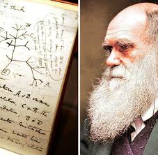 Darwin is the world's number one global benefits platform, used by companies all over the world to change benefits. Charles Darwin News Bilder Infos Zum Vater Der Evolutionstheorie Welt