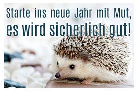 25 Silvesterspruche Von Klassisch Bis Lustig Talu De
