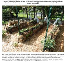 Hay Bale Gardening No Weeds No Fertilizers And Less Watering What A Simple But Amazing Concept Hay Bale Gardening Straw Bale Gardening Strawbale Gardening