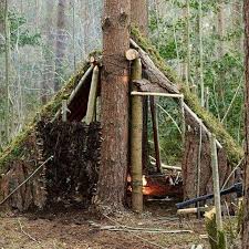 Great Shelter Bushcraft Wilderness Survival Bushcraft Shelter