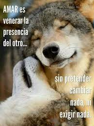 Pin De Antonio En Anto En 2020 Frases De Lobos Pensamientos De Sabiduria Lobos Enamorados