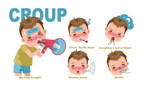 Image result for Croup