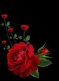 Pin On Flower Power